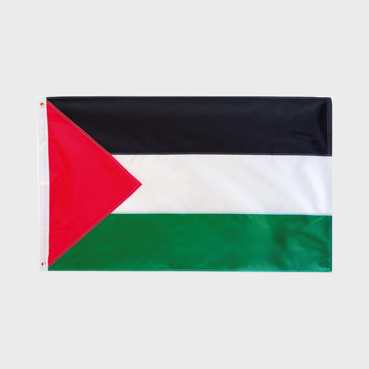 Palestinian Flag - Large